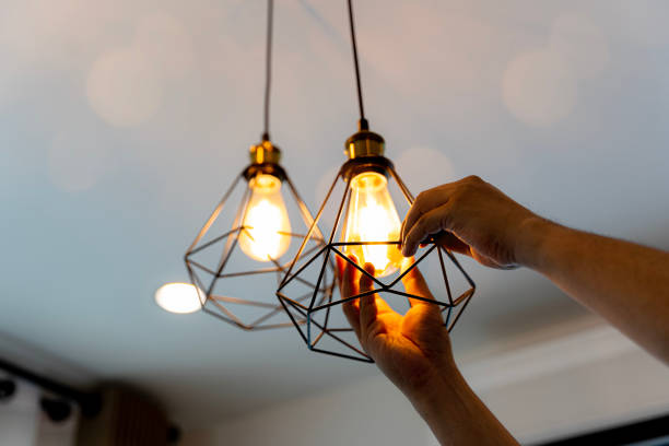 Best Local Electrician Companies  in Wlowbrook, IL